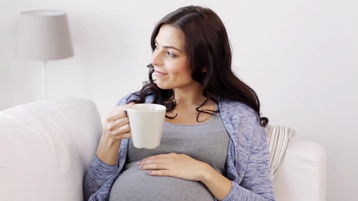 عرق کاسنی در دوران بارداری مفید است یا مضر؟
