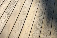 روش‌های پاکسازی لکه‌های سیاه روی چوب طلایی با استفاده از مواد مناسب